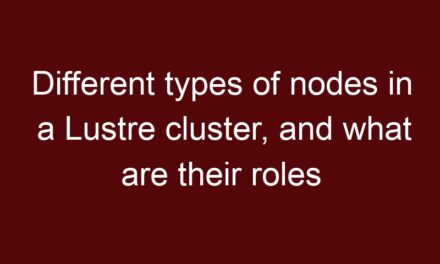Different types of nodes in a Lustre cluster, and their roles