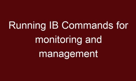 Running IB Commands for monitoring and management