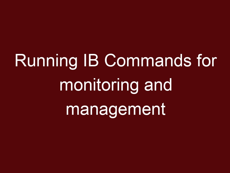 Running IB Commands for monitoring and management