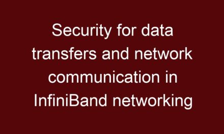 Security for data transfers and network communication in InfiniBand networking